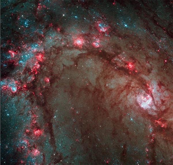 Один из рукавов галактики M83. На этой фотографии, присланной телескопом «Хаббл», галактика изображена в тот период, когда происходит интенсивное зарождение новых звёзд.
