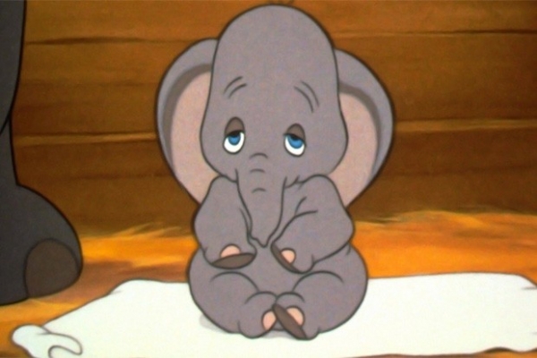 Слонёнок Дамбо принёс The Walt Disney Company премию «Оскар», а также награду Каннского кинофестиваля.