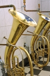 «Самый музыкальный» туалет установлен в «Золотых звёздах», гостинице города Фрайбург. Писсуары в мужском туалете выполнены в форме тубы, самого низкого по регистру медного духового инструмента. 