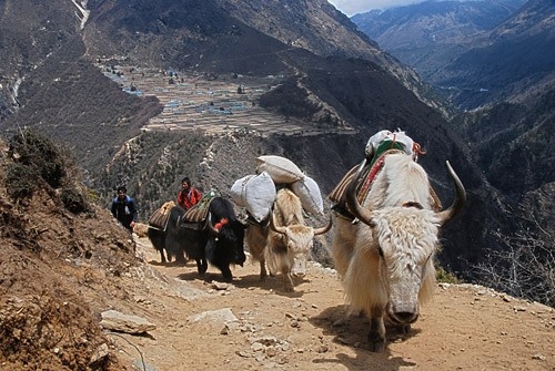Непал. Гималаи. Путь к Эвересту.