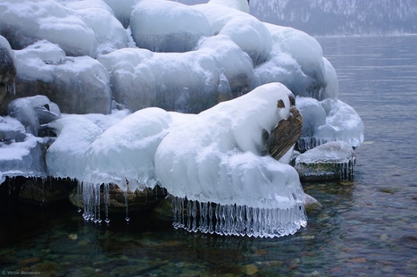 Ледяные обитатели озера. Телецкое озеро 