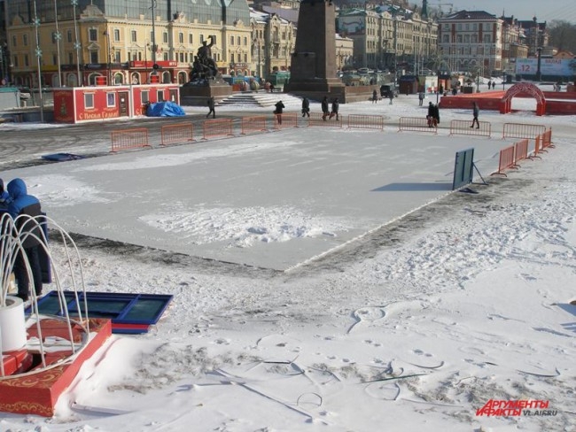 Панели для катка состоят из специального полимера, который производят в Канаде