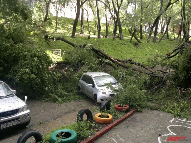 На Русской, 65а дерево упало во двор