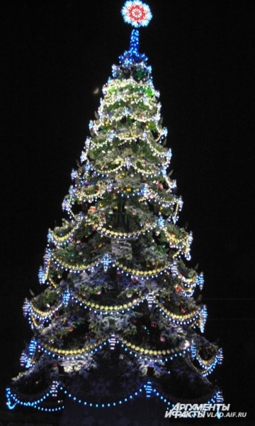 главная елка Владимира на Соборной площади