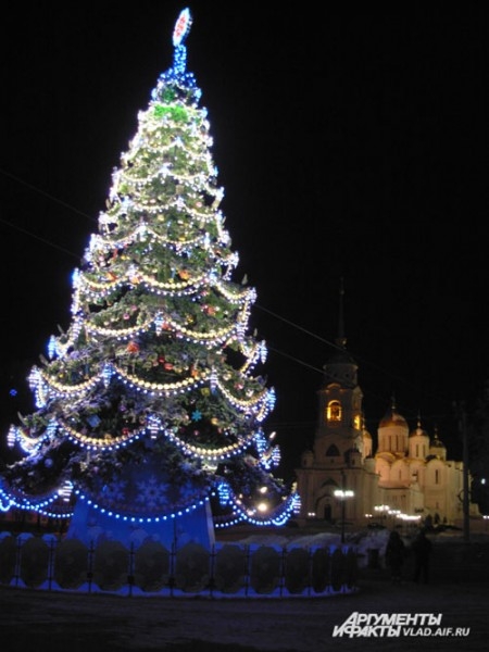 главная елка Владимира на Соборной площади