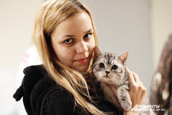 В Волгоград понаехали кошки из разных стран