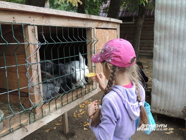 Еду для животных можно принести с собой или купить в кассе зоодворика