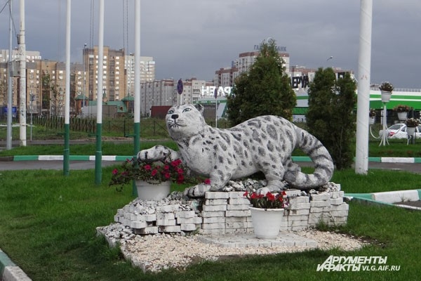 Белый барс является символом казанской хоккейной команды
