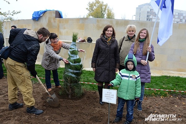 Приведет ли высадка деревьев к дружбе народов, неизвестно. Зато тень на аллее будет