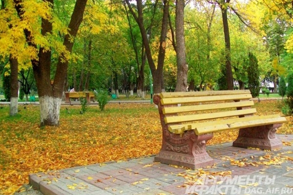 Парк Махачкалы пестрит красками