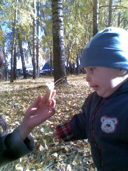 Костя рассматривает красоту осенней листвы. Константин, 1 год 4мес.