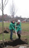 Посадка деревьев в рамках акции «Зеленый рекорд» 