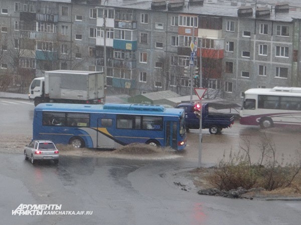 А автобусам всё непочём