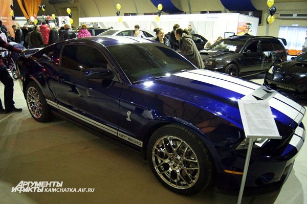 Гордость коллекции — Ford Mustang Shelby GT500