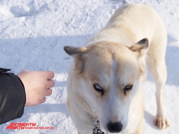 Некоторые косились подозрительно...