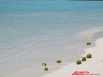Райское наслаждение…Мальдивы