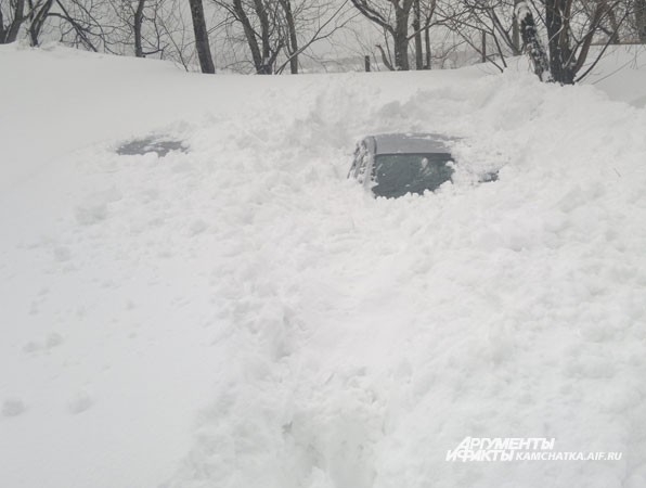 Загадка: сколько машин прячется под снегом?