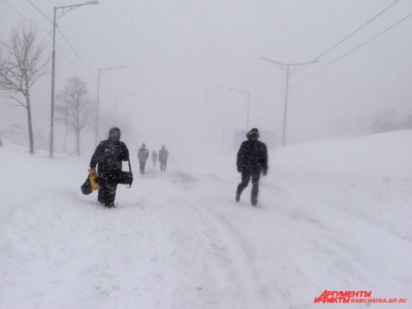 В снежной полумгле…
