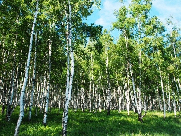 Окрестности Байкала