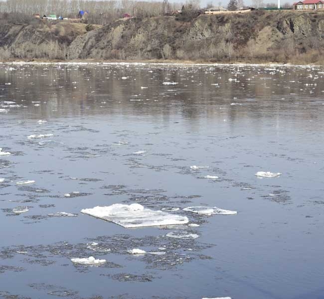 Без комментариев