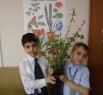Артём и Саша вырастили из веток 9 саженцев деревьев