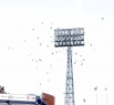 В небо над кемеровским стадионом взмыли белоснежные голуби