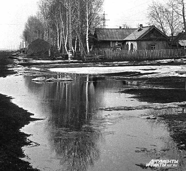 1968 г. Весна в селе Тальжино