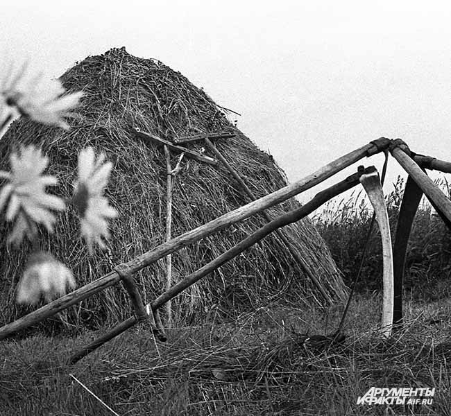 1968 г. Село Тальжино. Тальжинский стог