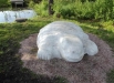 «Черепаха» в Кузбасском парке на проспекте Химиков. Пока самая новая кемеровская  скульптура.