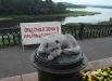 Памятник бездомной собаке на набережной реки Томь