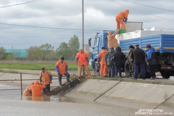 Краснодарские ученые выпустили в реку Кубань молодь осетровых