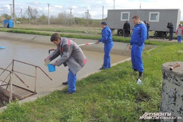 Краснодарские ученые выпустили в реку Кубань молодь осетровых