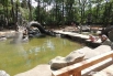 Лето в краснодарском зоопарке: питомцы жары не боятся