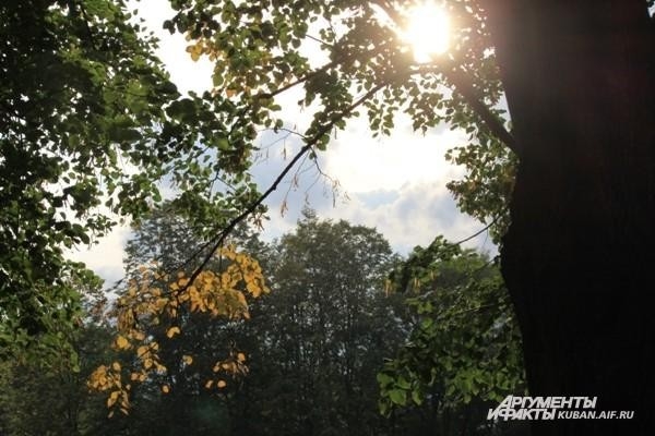 Осень в Краснодаре
