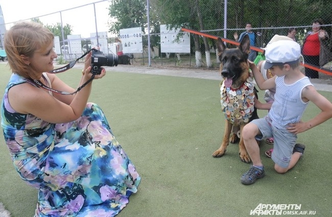 После подведения итогов конкурсов дети могли ещё и сфотографироваться с понравившимися собаками.