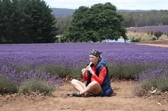 Лавандовые поля, Bridestowe Lavender Farm
