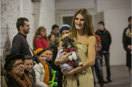 Дефиле-выставка бездомных собак прошла в Ростове впервые