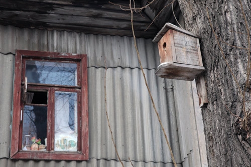Скворечник был приколочен давно, когда ещё к нам прилетали скворцы.
