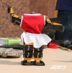  
Танцующие роботы построены на базе научно-производственного института «Учебная техника и технология» при ЮУрГУ. По словам разработчиков,  в программе роботов заложено три современных танца. Роботы умеют танцевать как синхронно, так и полностью индивиду