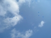 Синие шары взлетели в небо.