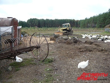 На хоздворе у монахинь много работы.