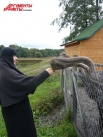 Экзотические птицы позволяют себя кормить только девушкам в черном.