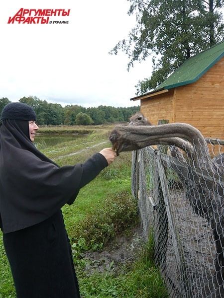 Экзотические птицы позволяют себя кормить только девушкам в черном.