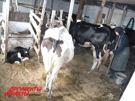 Парное молоко каждый день на столе – конечно, если этот день не постный.