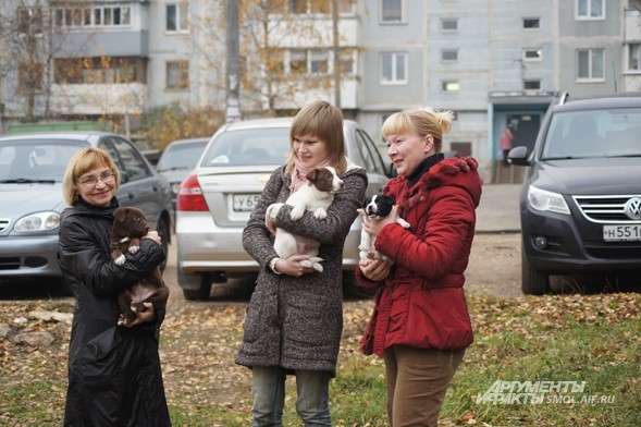 Лариса Белозерова (слева) и Галина (справа) помогают городским бездомным животным, в том числе пытаясь отстаивать их права