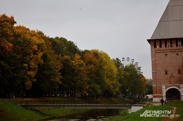 «Но все пруды и лужицы
Уже застеклены»