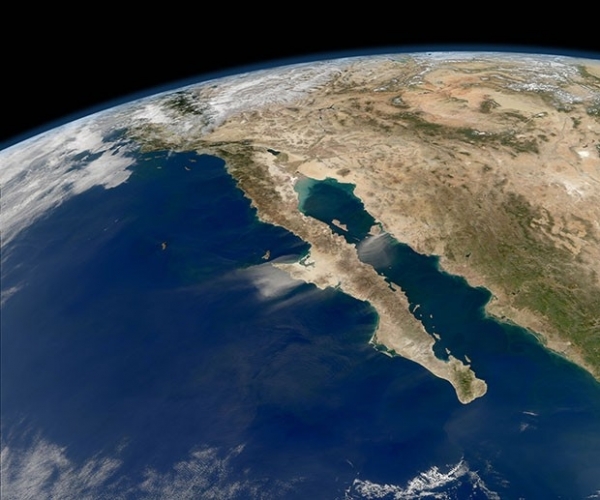 Калифорния и тихоокеанское побережье Мексики.