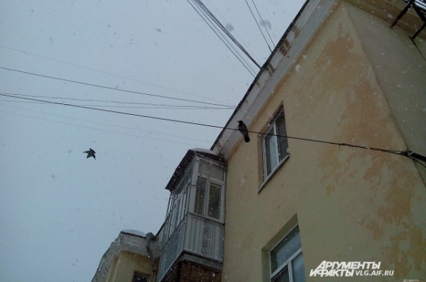 В Волгоград пришла настоящая зима
