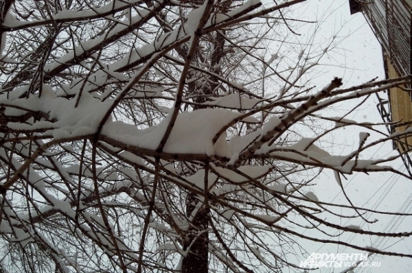 Лишь бы деревья под тяжестью снега не начали падать