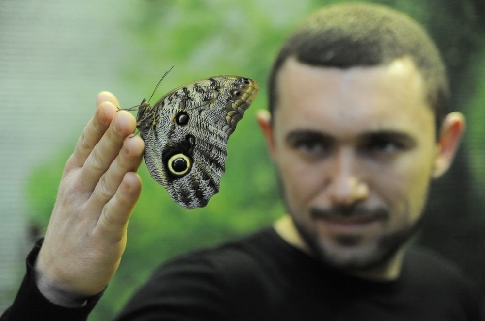Ростовчане непринужденно общаются с бабочками